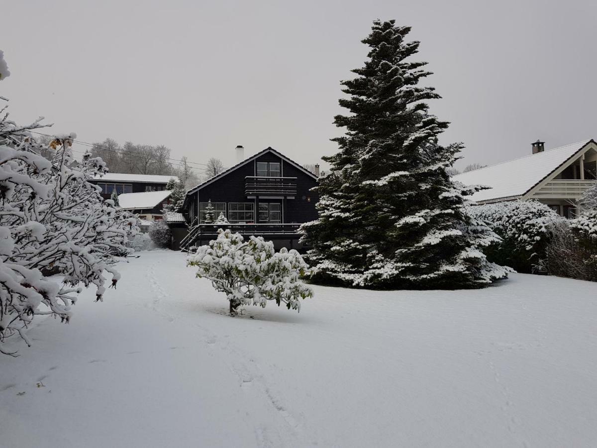 Peak Apartments Voss Dış mekan fotoğraf